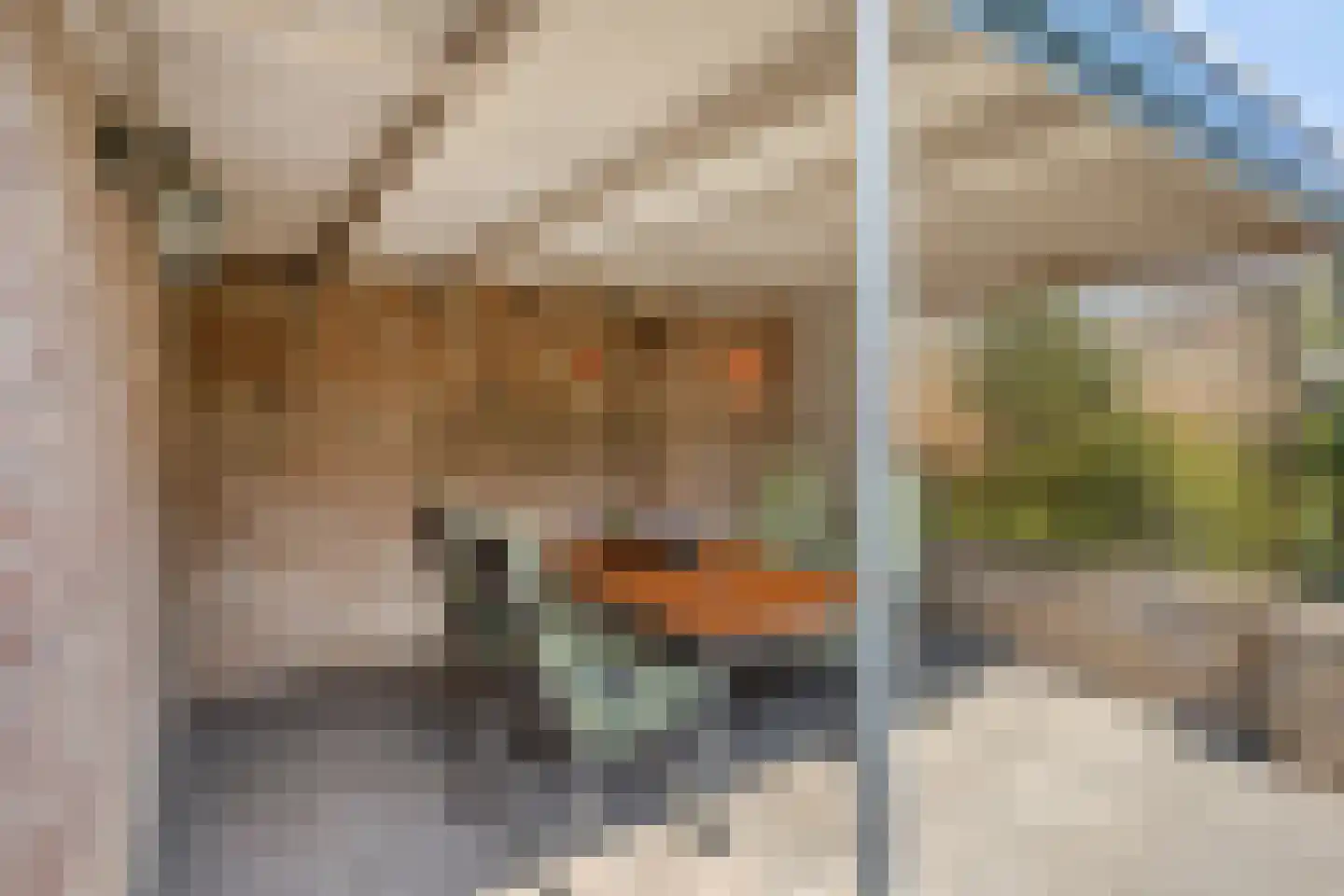 Salderes 22 Best thumbnail 33