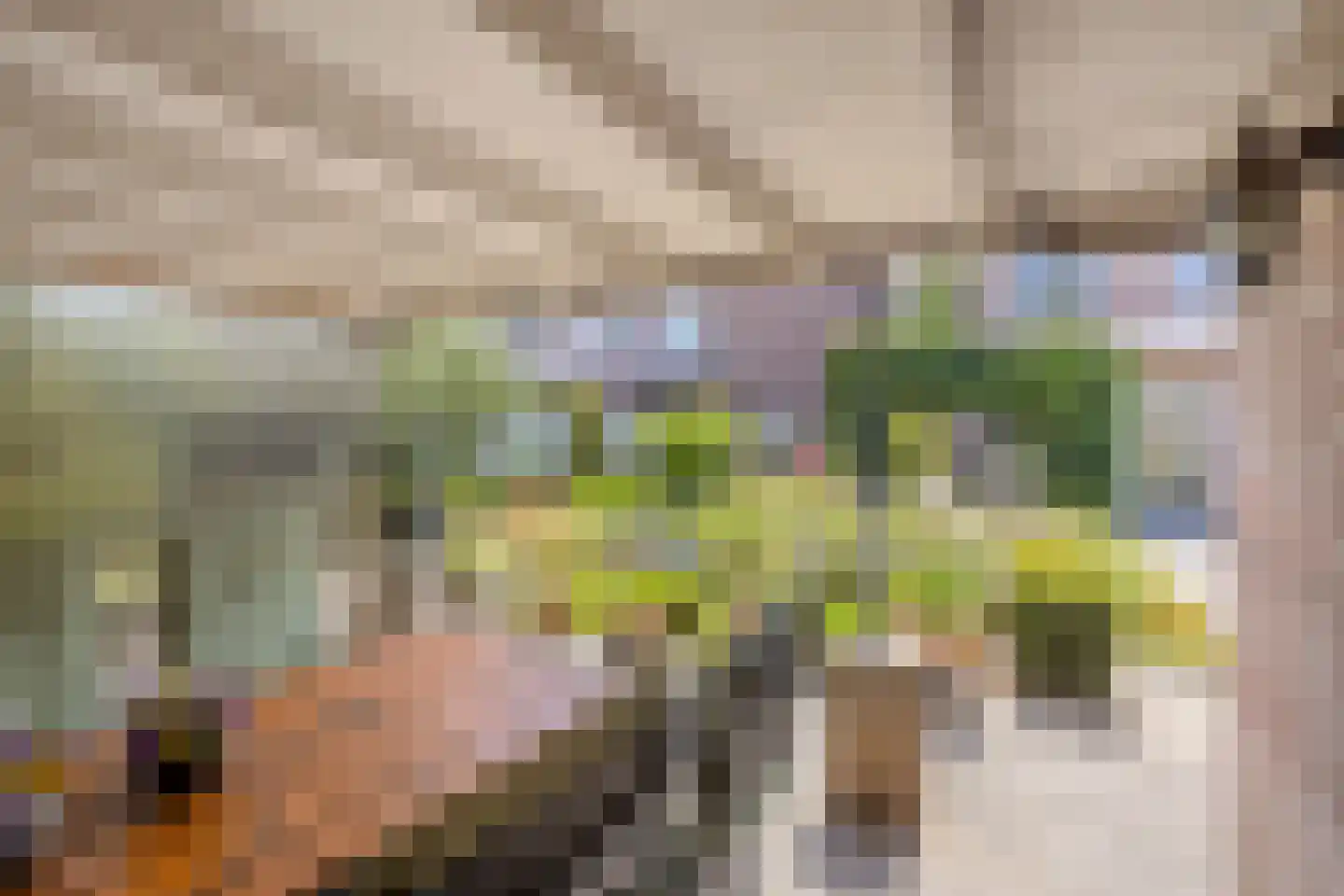 Salderes 22 Best thumbnail 34