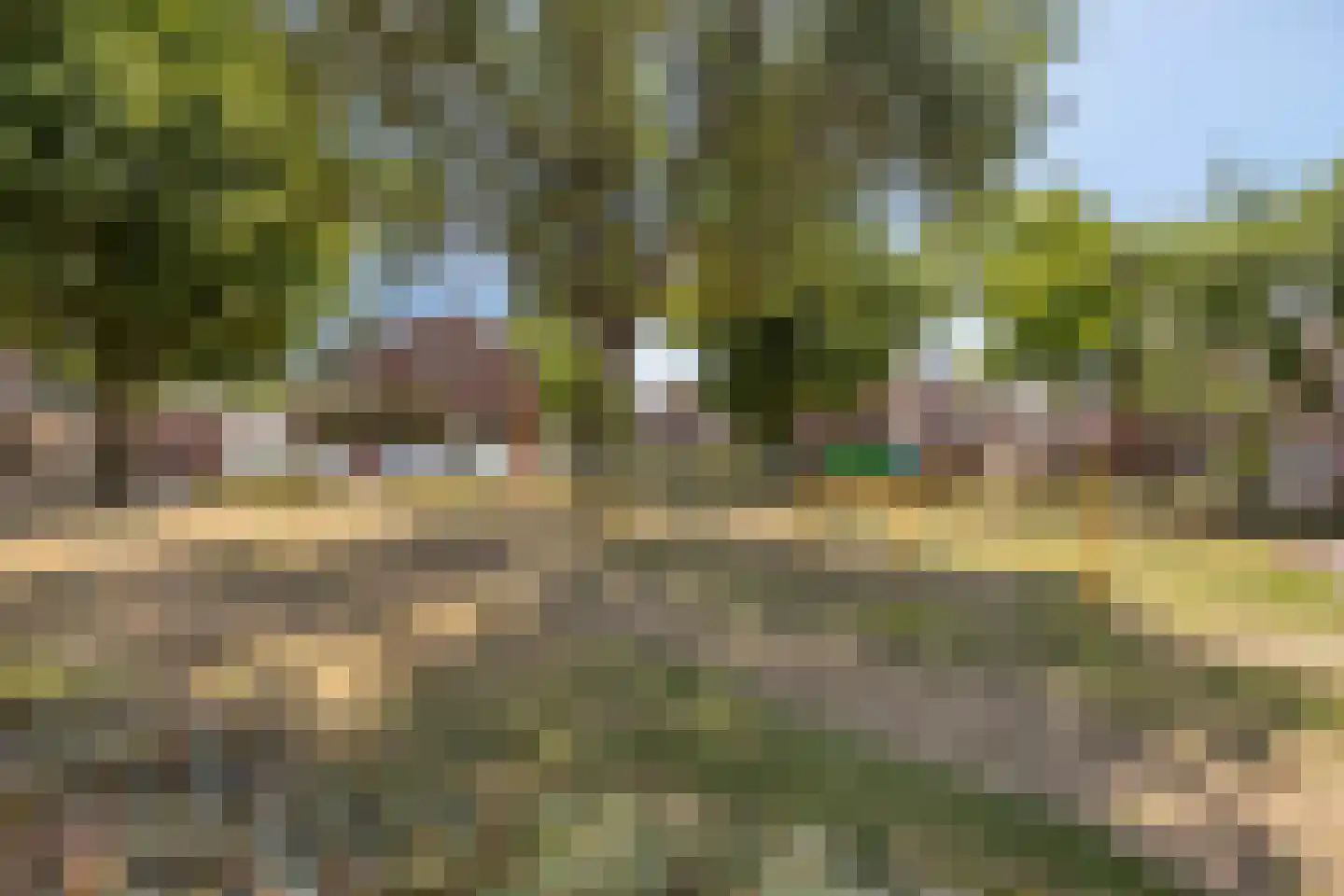 Salderes 22 Best thumbnail 37