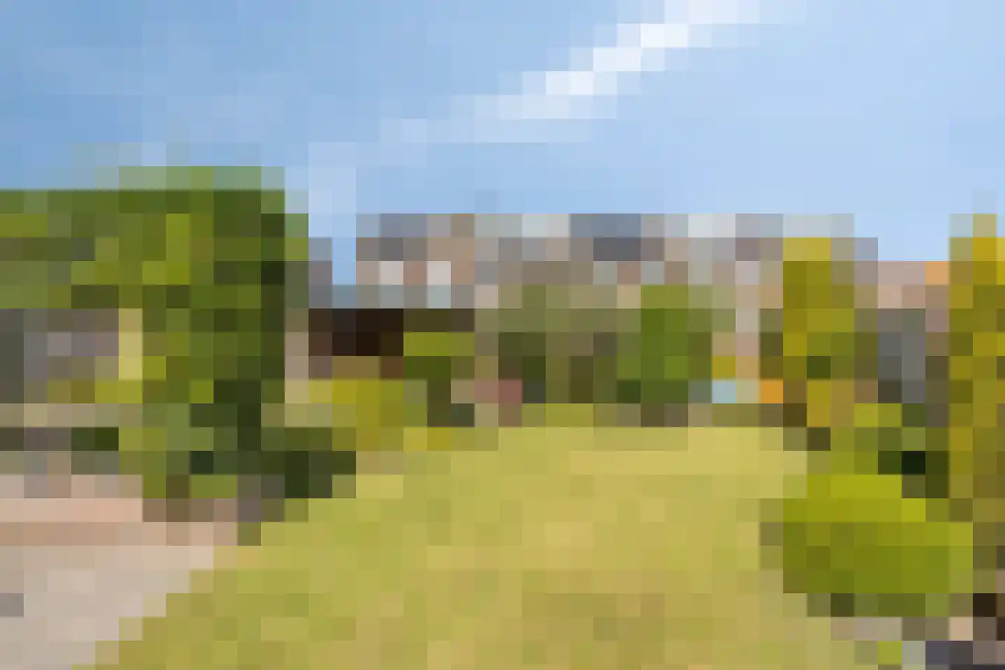Salderes 22 Best thumbnail 5
