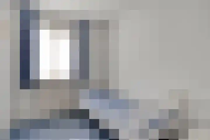 Salderes 61 Best thumbnail 20