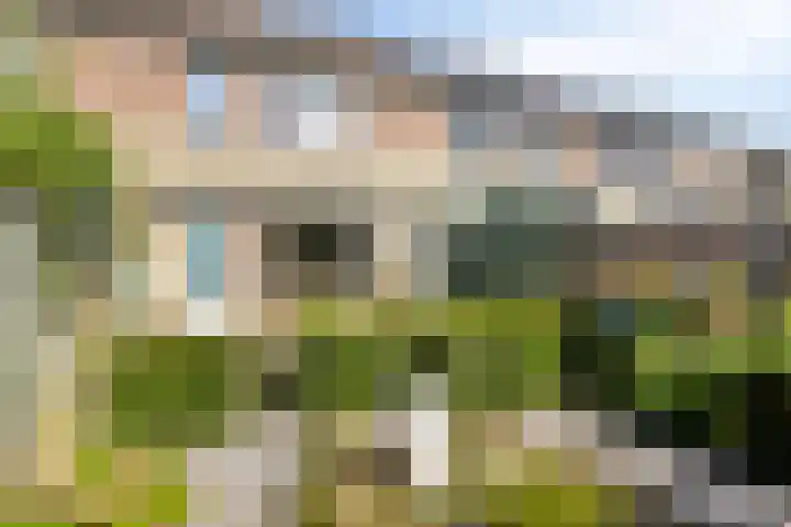 Salderes 61 Best thumbnail 25