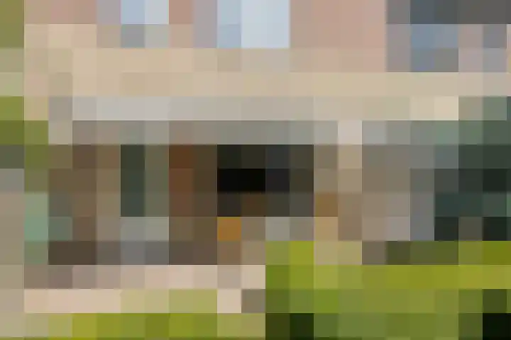 Salderes 61 Best thumbnail 26