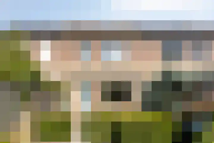 Salderes 61 Best thumbnail 27