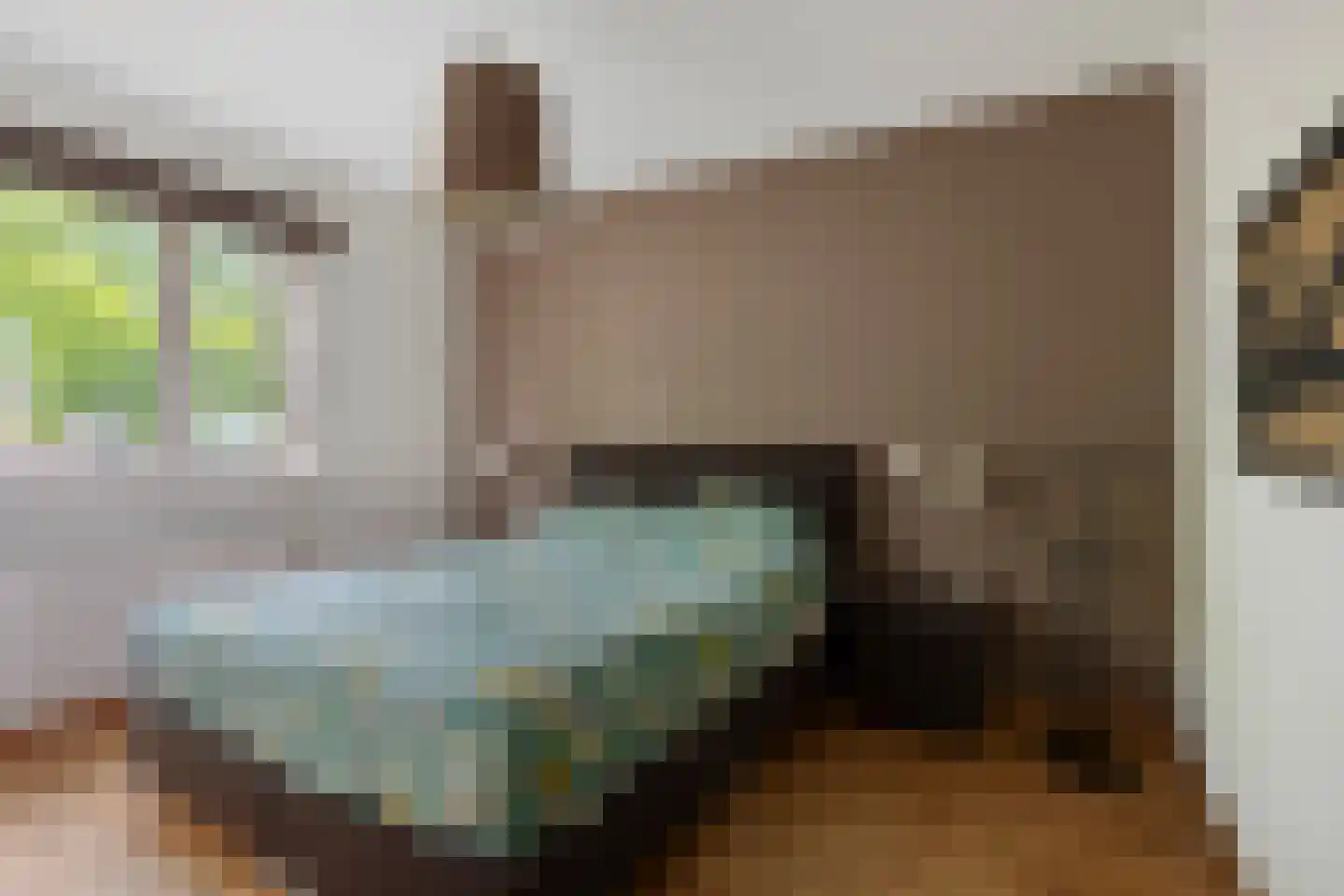 Salderes 66 Best thumbnail 25
