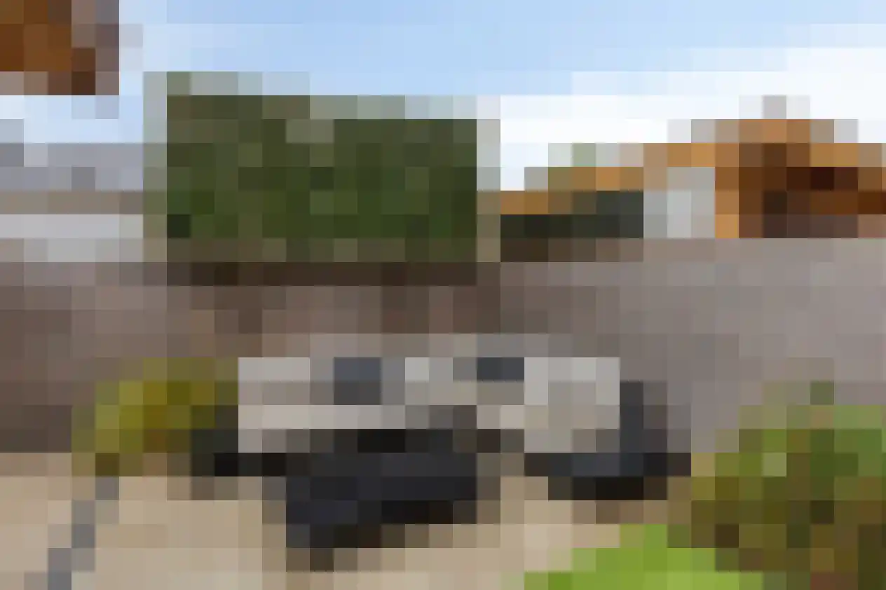 Salderes 66 Best thumbnail 37
