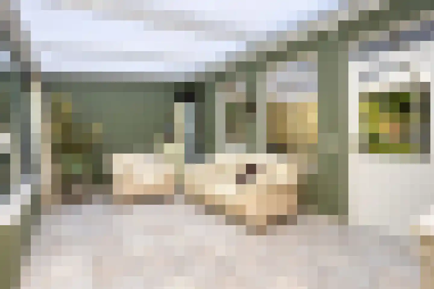 Salderes 91 Best thumbnail 20