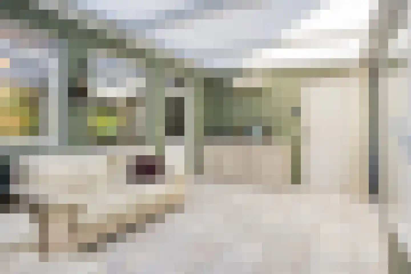Salderes 91 Best thumbnail 21