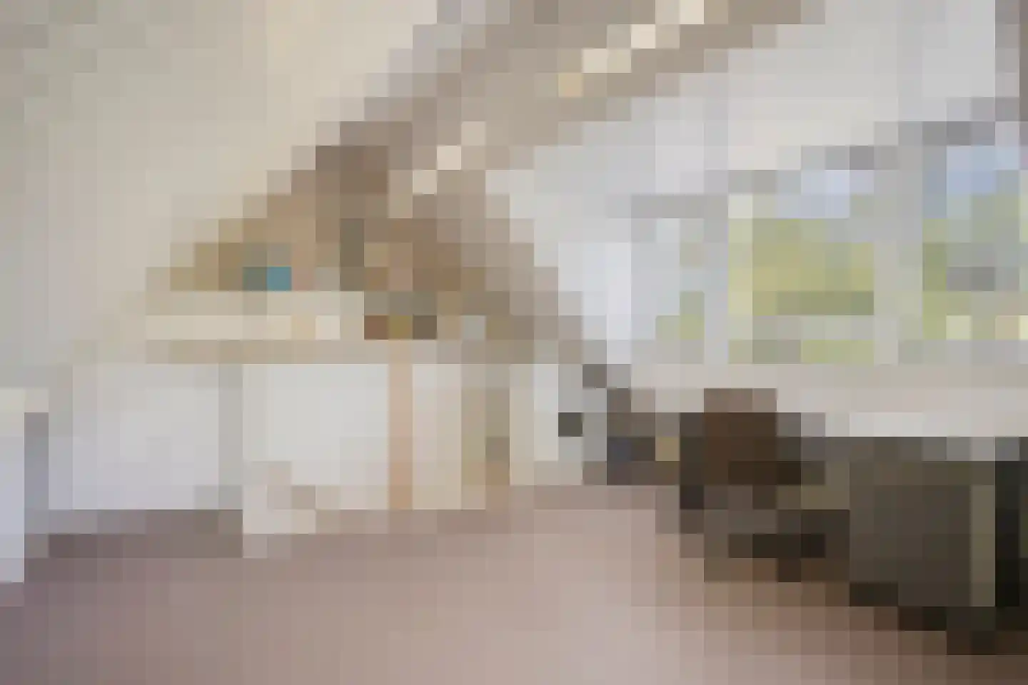 Salderes 91 Best thumbnail 33