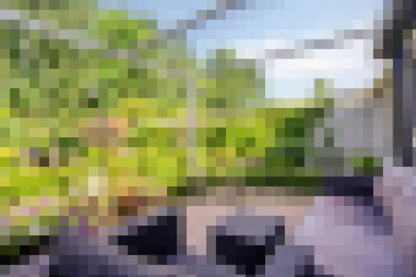 Salderes 91 Best thumbnail 34