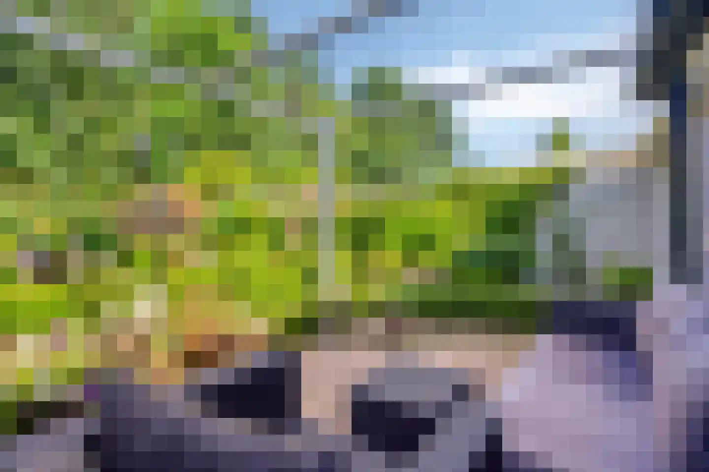 Salderes 91 Best thumbnail 35