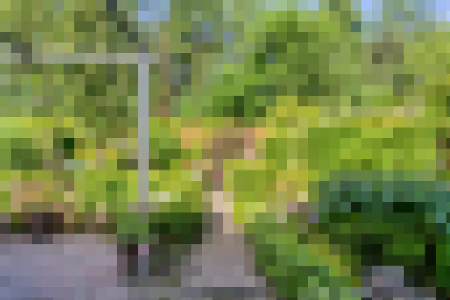 Salderes 91 Best thumbnail 36