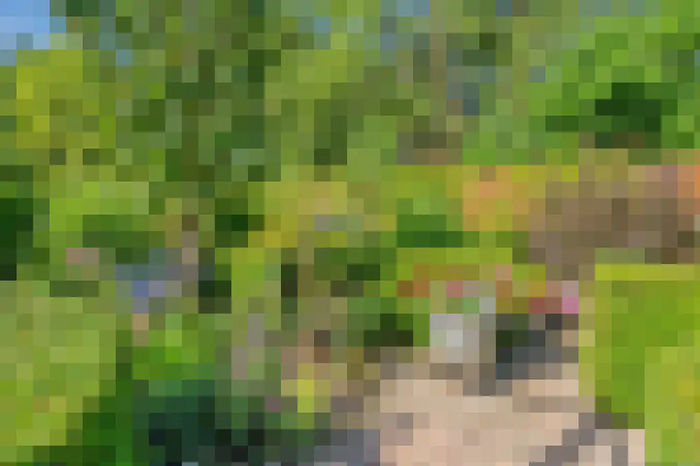 Salderes 91 Best thumbnail 39