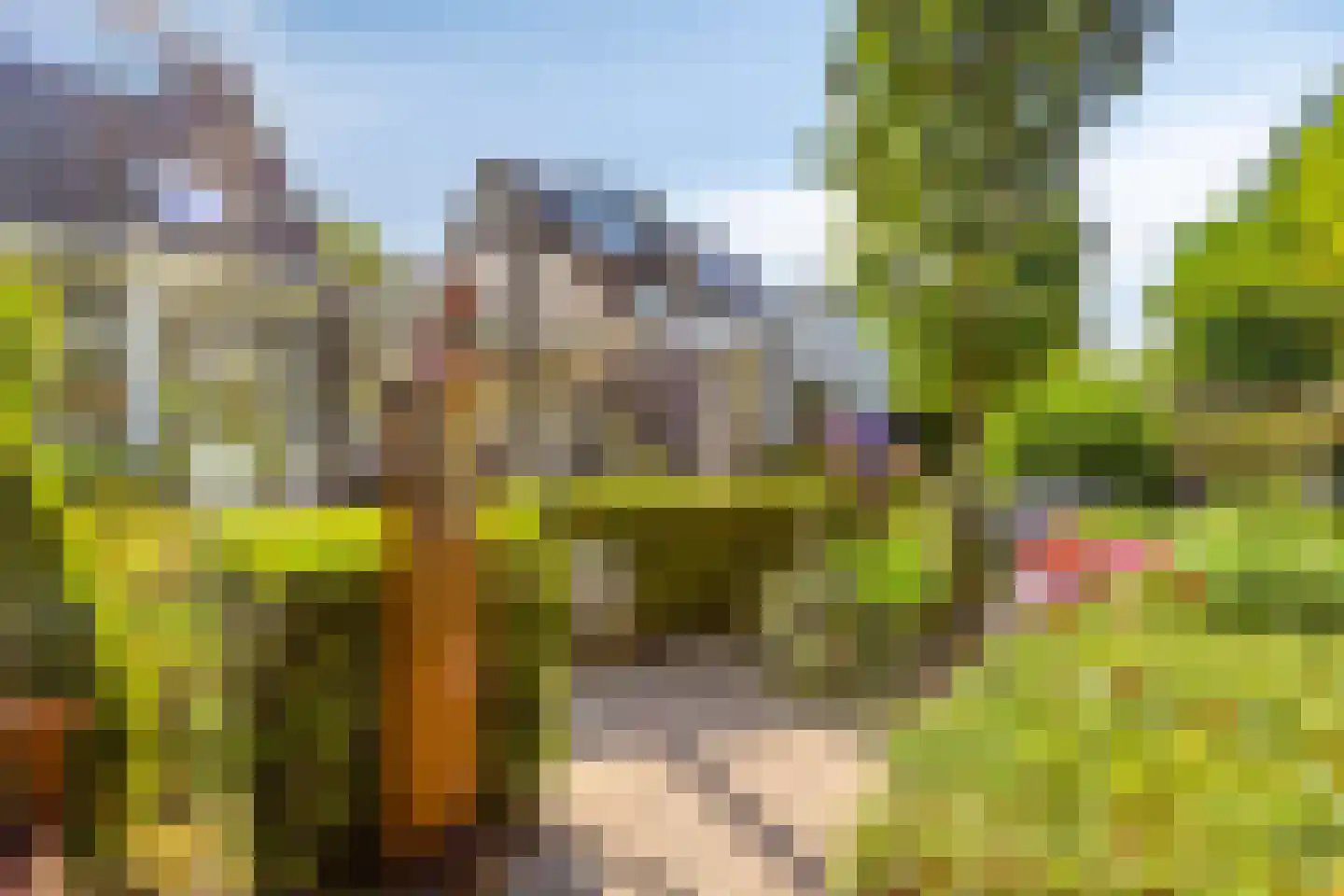 Salderes 91 Best thumbnail 40