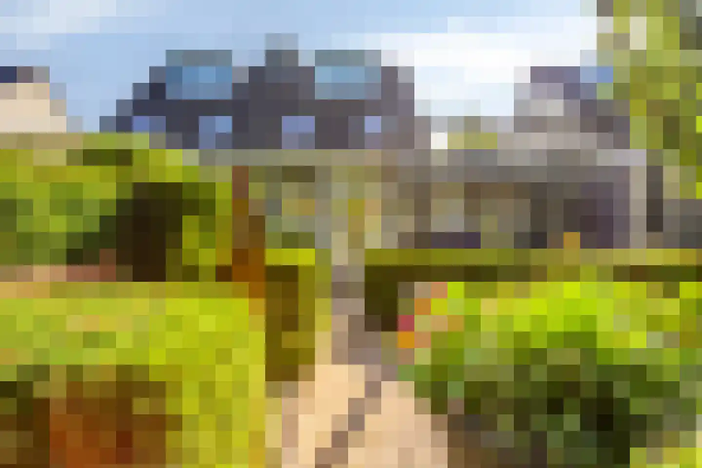 Salderes 91 Best thumbnail 41
