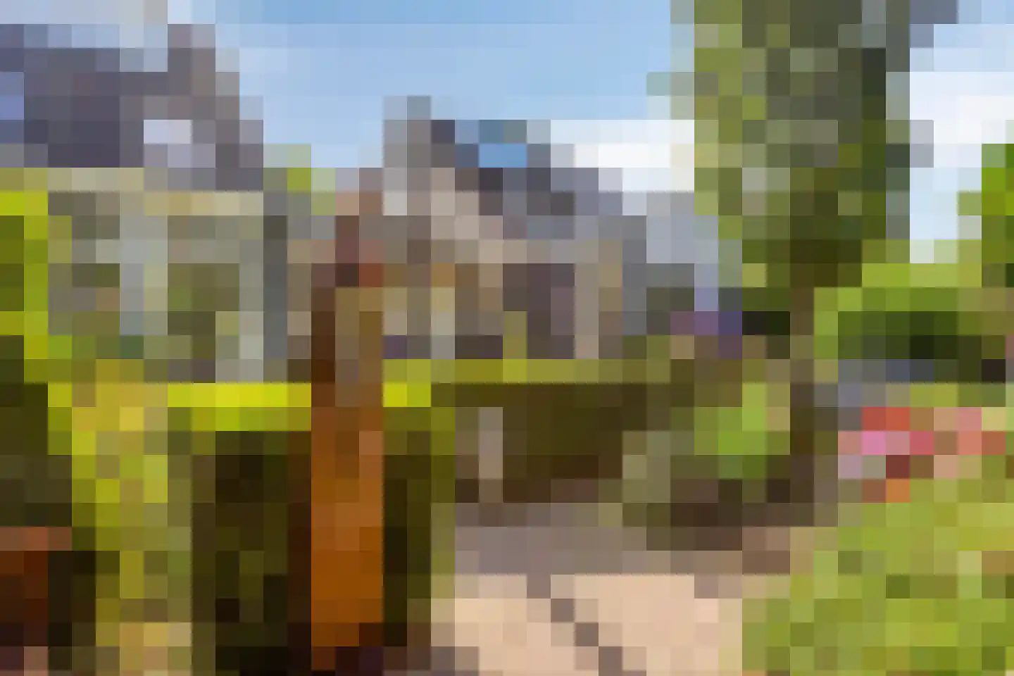 Salderes 91 Best thumbnail 42