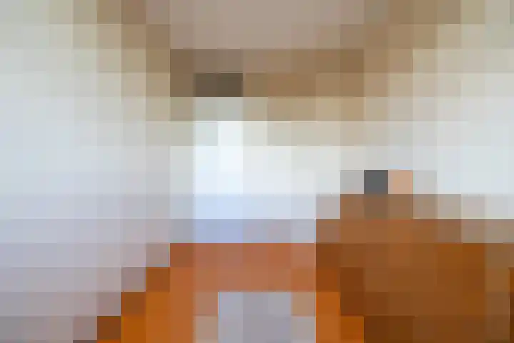 Salemate 19 Doetinchem thumbnail 23