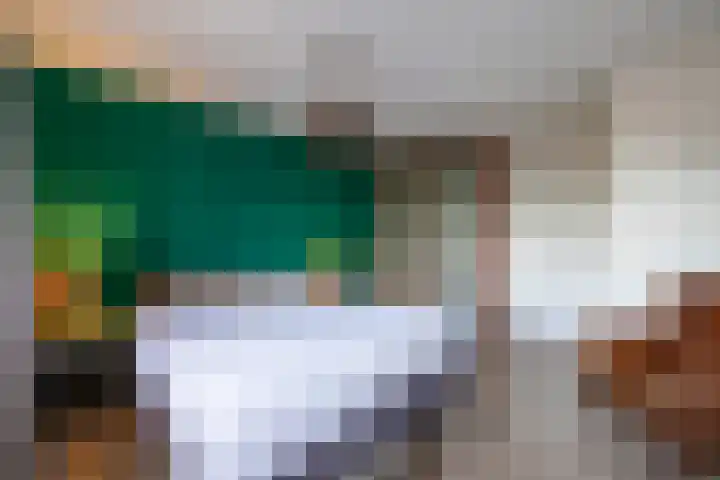 Salemate 19 Doetinchem thumbnail 26