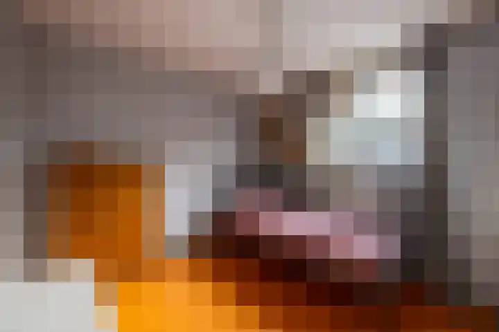 Salemate 19 Doetinchem thumbnail 27