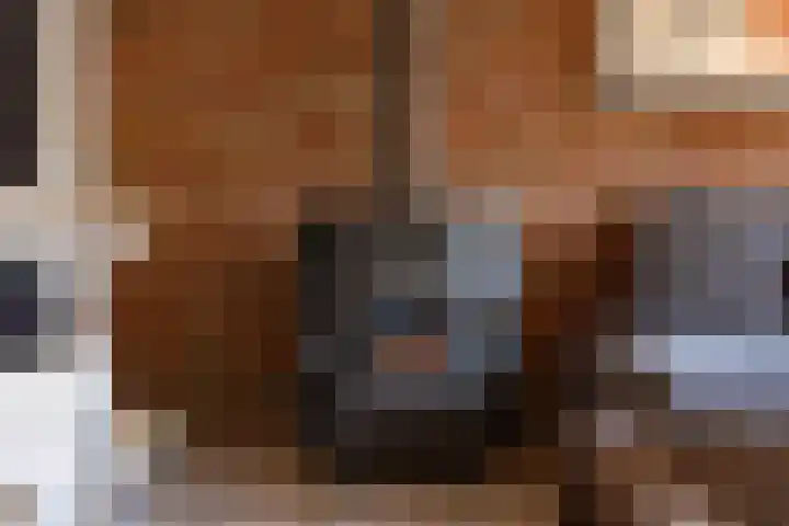 Salemate 19 Doetinchem thumbnail 4