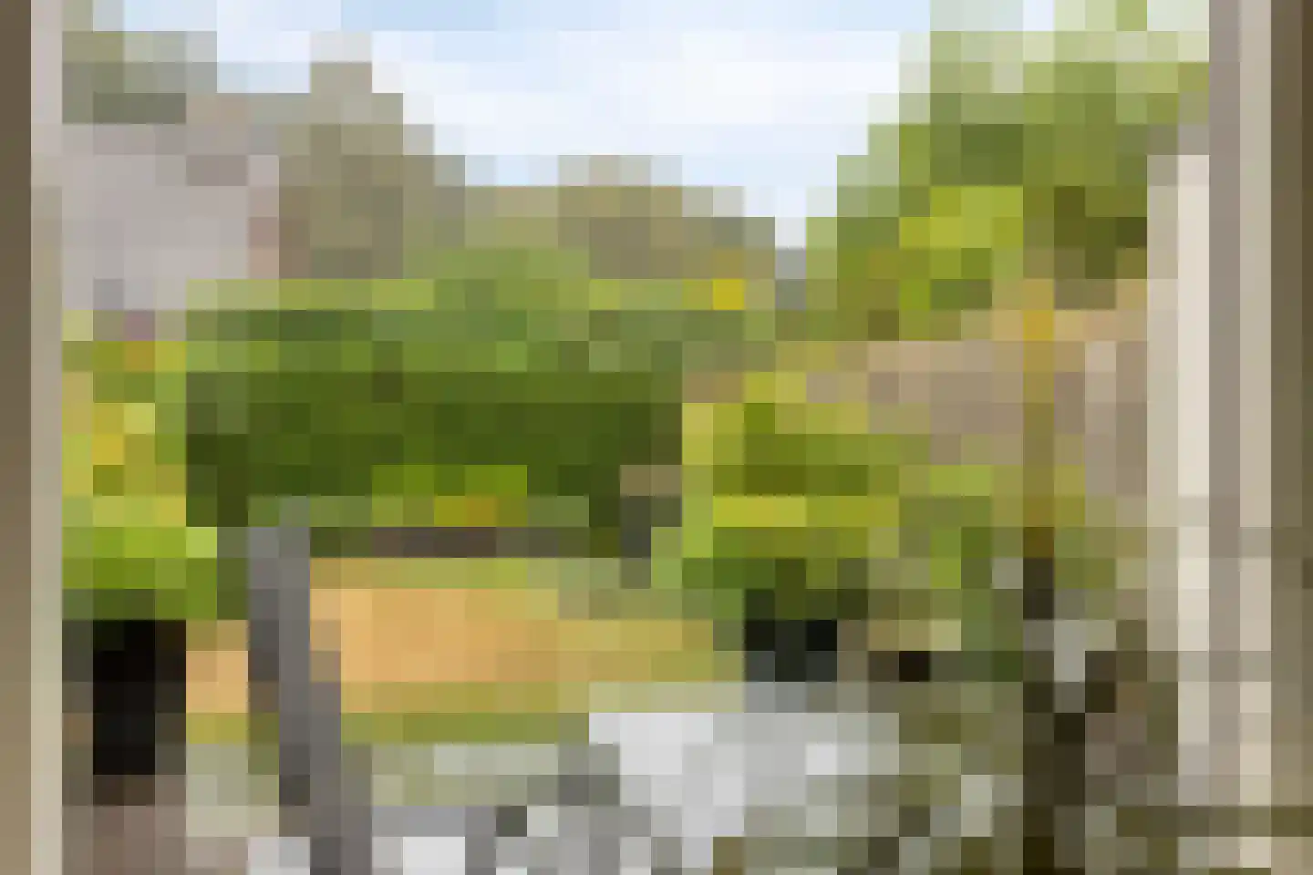 Salemate 40 Doetinchem thumbnail 11