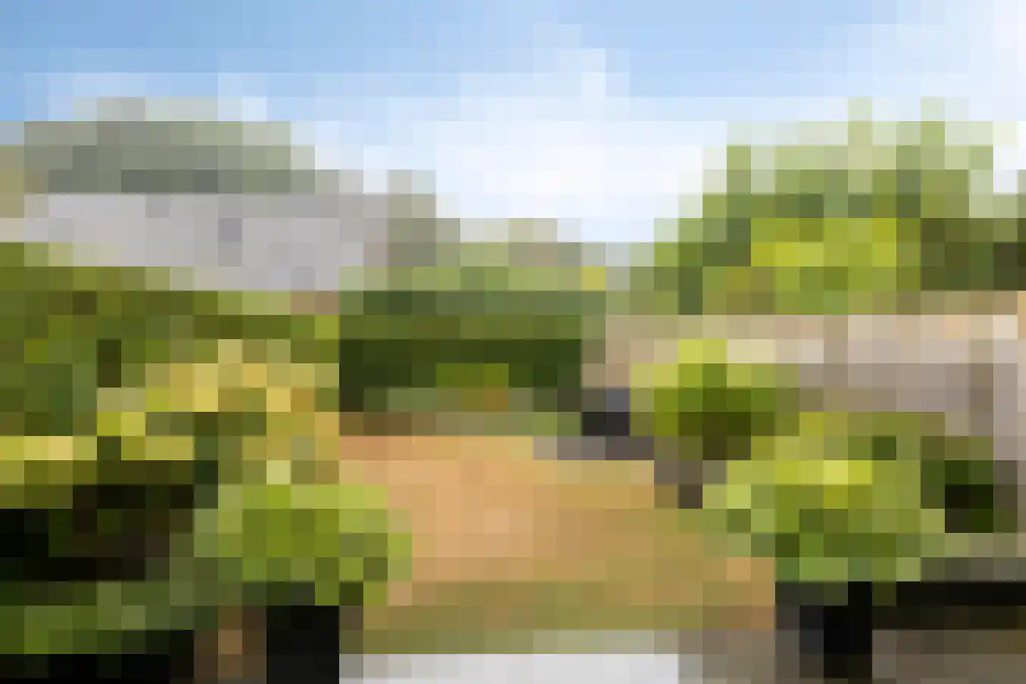 Salemate 40 Doetinchem thumbnail 12
