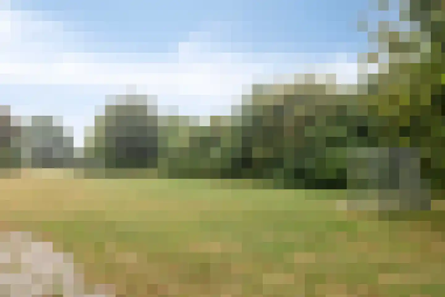 Salemate 40 Doetinchem thumbnail 28