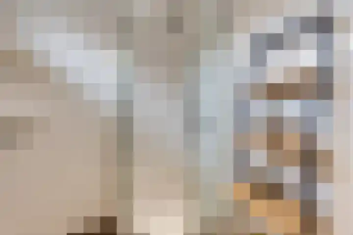 Salemate 60 Doetinchem thumbnail 37