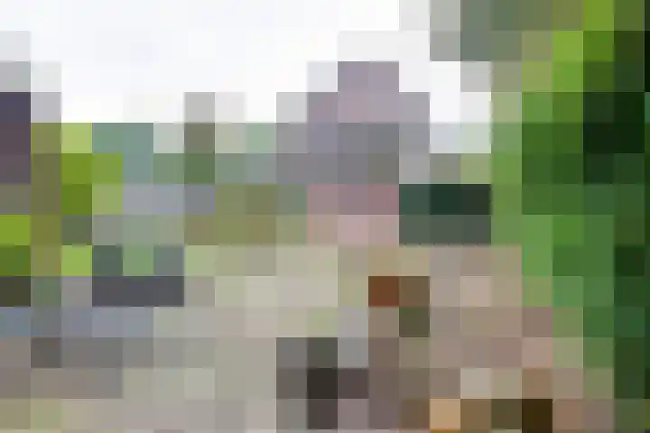 Salemate 60 Doetinchem thumbnail 43