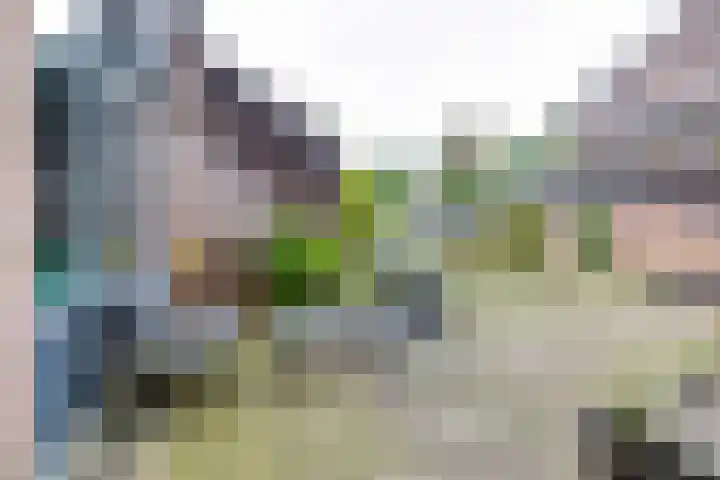 Salemate 60 Doetinchem thumbnail 44