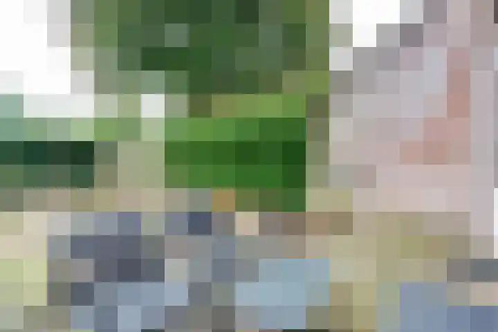 Salemate 60 Doetinchem thumbnail 45