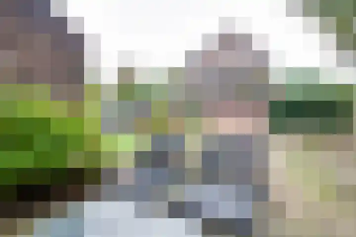 Salemate 60 Doetinchem thumbnail 46
