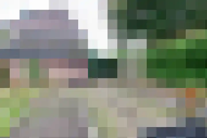 Salemate 60 Doetinchem thumbnail 47