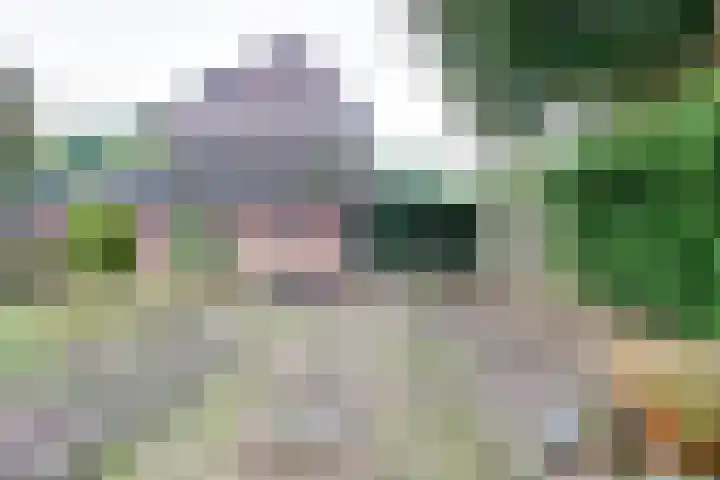 Salemate 60 Doetinchem thumbnail 48