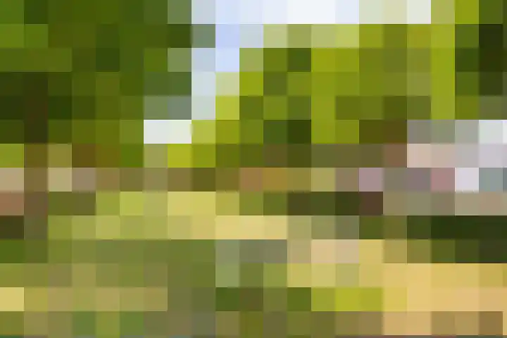 Salentein 20 Lelystad thumbnail 21