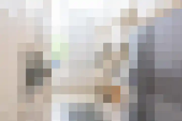 Salentein 20 Lelystad thumbnail 8