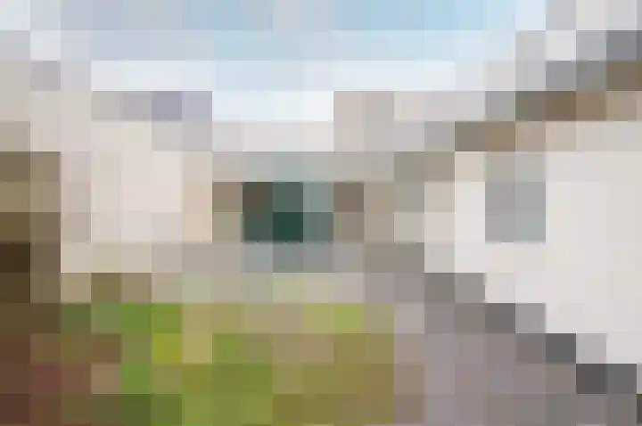 Salentein 27 Lelystad thumbnail 28