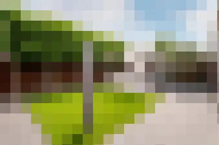 Salentijnerhout 38 Harderwijk thumbnail 38