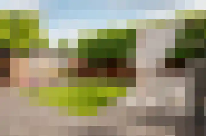 Salentijnerhout 38 Harderwijk thumbnail 41