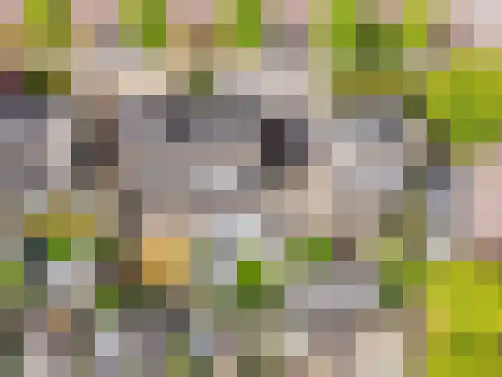 Salentijnerhout 38 Harderwijk thumbnail 44