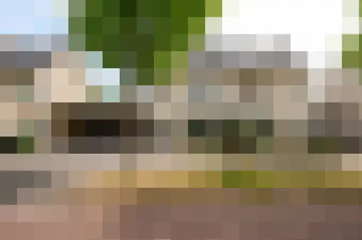Salentijnerhout 38 Harderwijk thumbnail 46