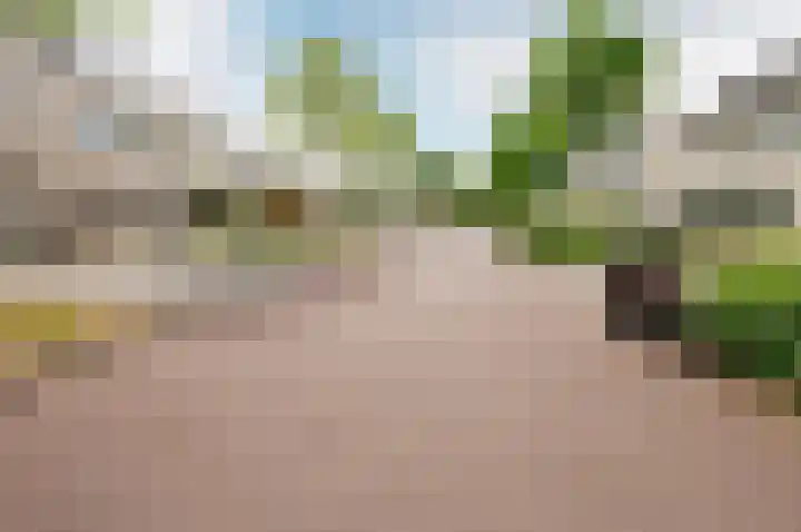 Salentijnerhout 38 Harderwijk thumbnail 48