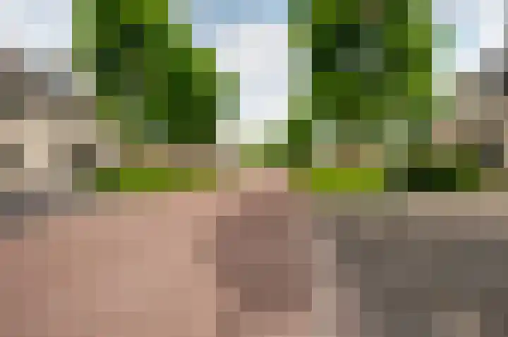 Salentijnerhout 38 Harderwijk thumbnail 49
