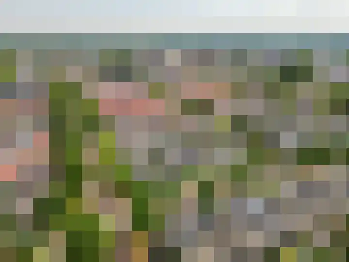 Salentijnerhout 38 Harderwijk thumbnail 50