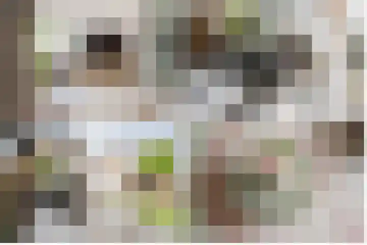 Salentijnerhout 38 Harderwijk thumbnail 6