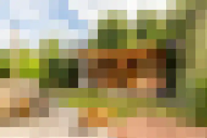 Salentijnerhout 81 Harderwijk thumbnail 33