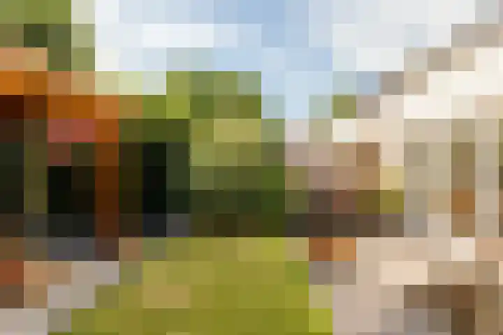 Salentijnerhout 81 Harderwijk thumbnail 34