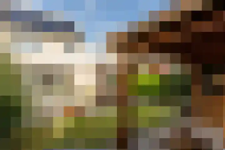 Salentijnerhout 81 Harderwijk thumbnail 36
