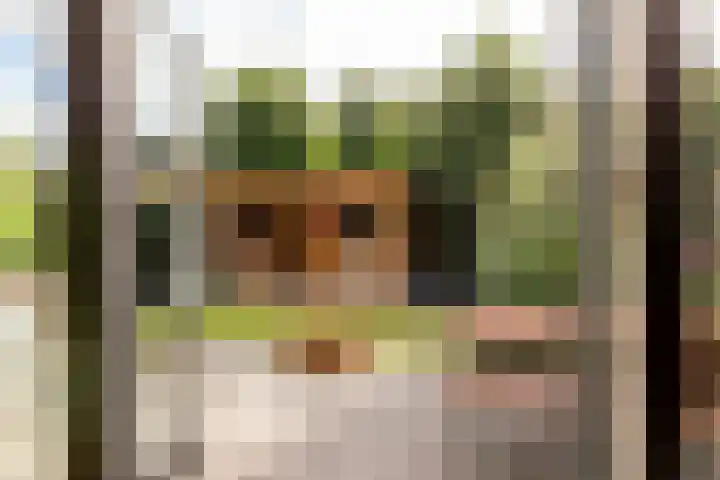 Salentijnerhout 81 Harderwijk thumbnail 37