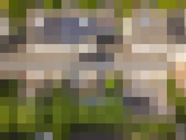 Salentijnerhout 81 Harderwijk thumbnail 38